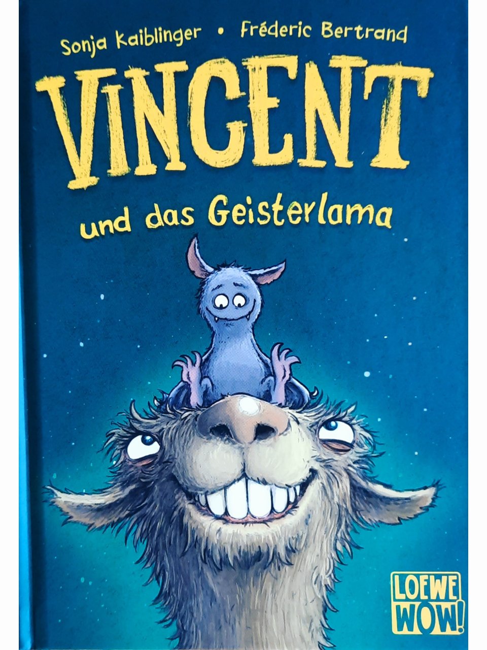 Vincent 2 - und das Geisterlama