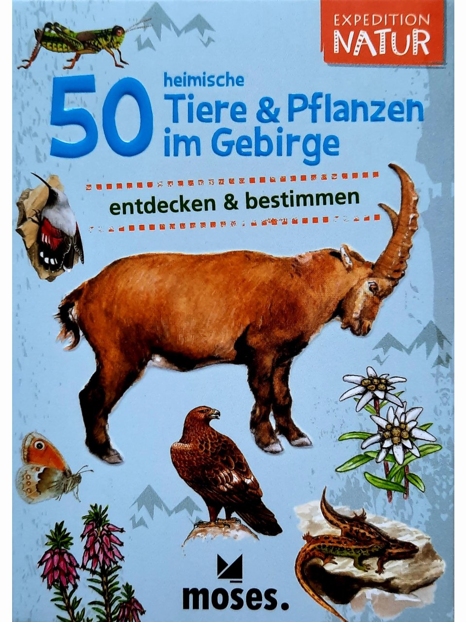 50 heimische Tiere & Pflanzen im Gebirge entdecken & bestimmen
