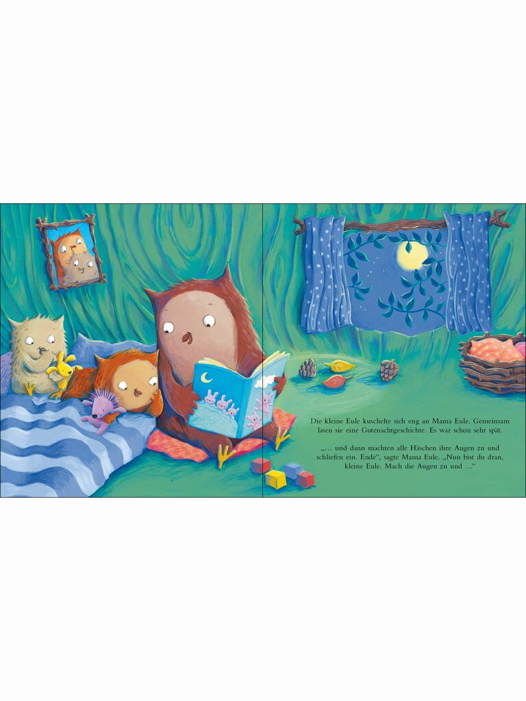 Die kleine Eule will noch nicht ins Bett