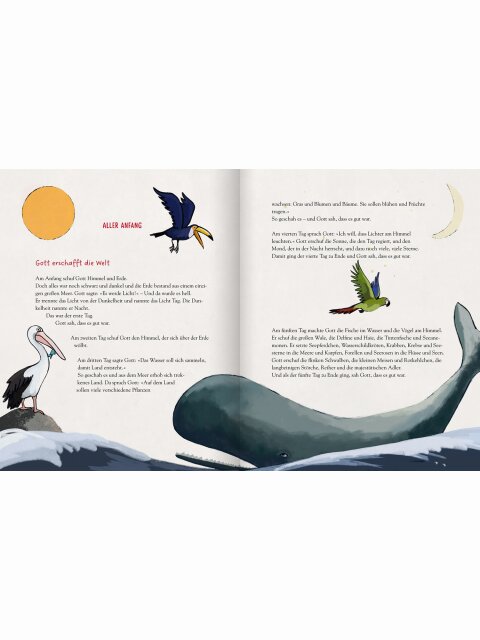 Die Kinderbibel zum Vorlesen