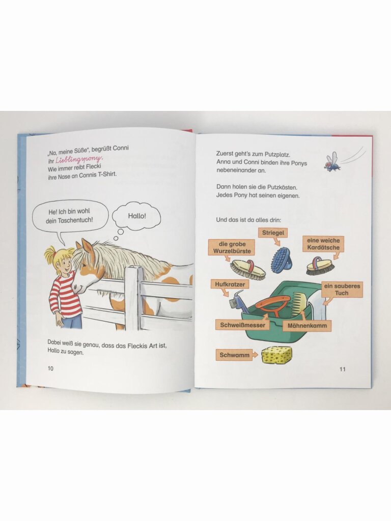 Conni und das wilde Pony