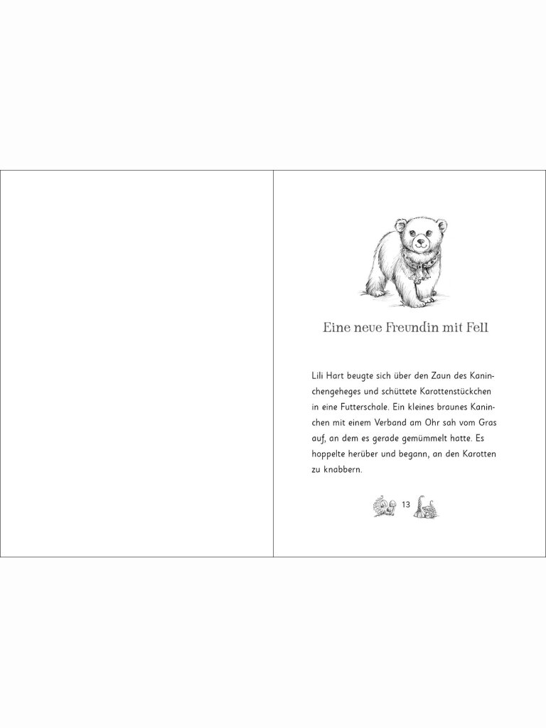 Die magischen Tierfreunde (Band 18) - Hanna Honigherz und...