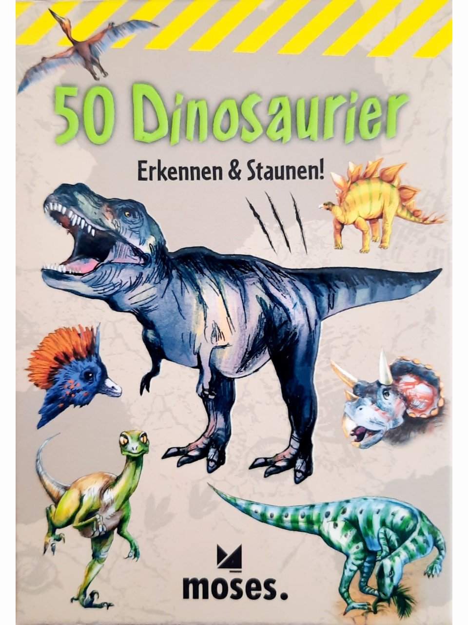 50 Dinosaurier erkennen & staunen
