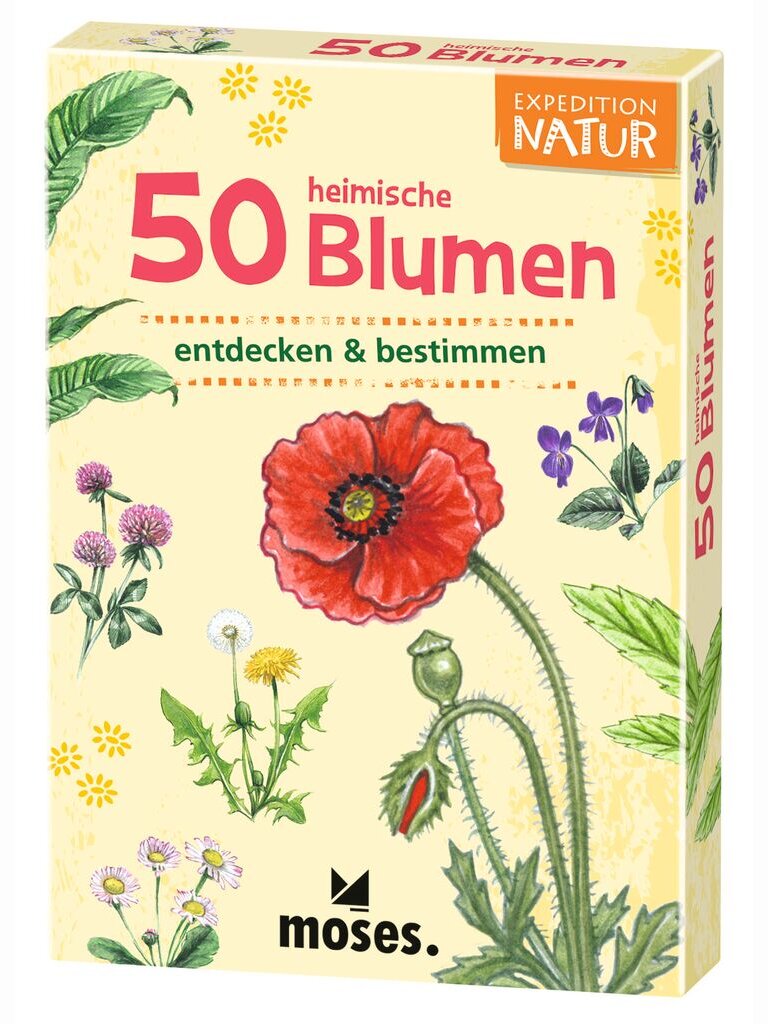 50 heimische Blumen entdecken & bestimmen