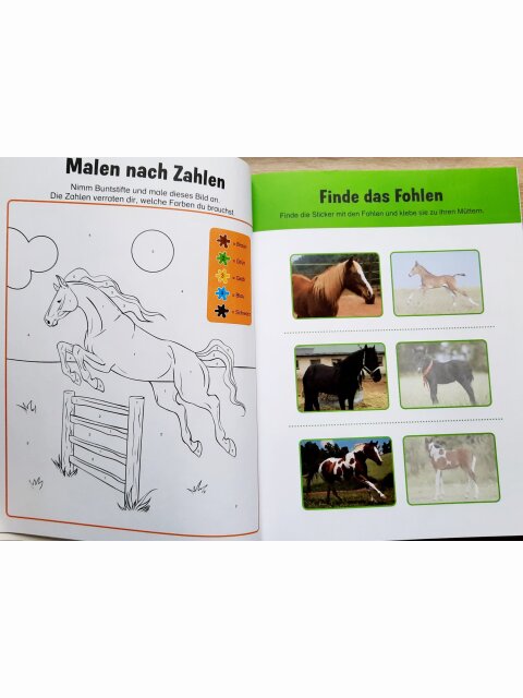 Mein riesengroßer Stickerspaß - Pferde