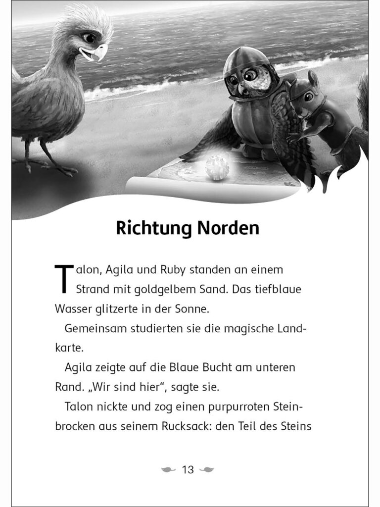 Der letzte Feuerfalke und die Kristallhöhlen (Band 2)