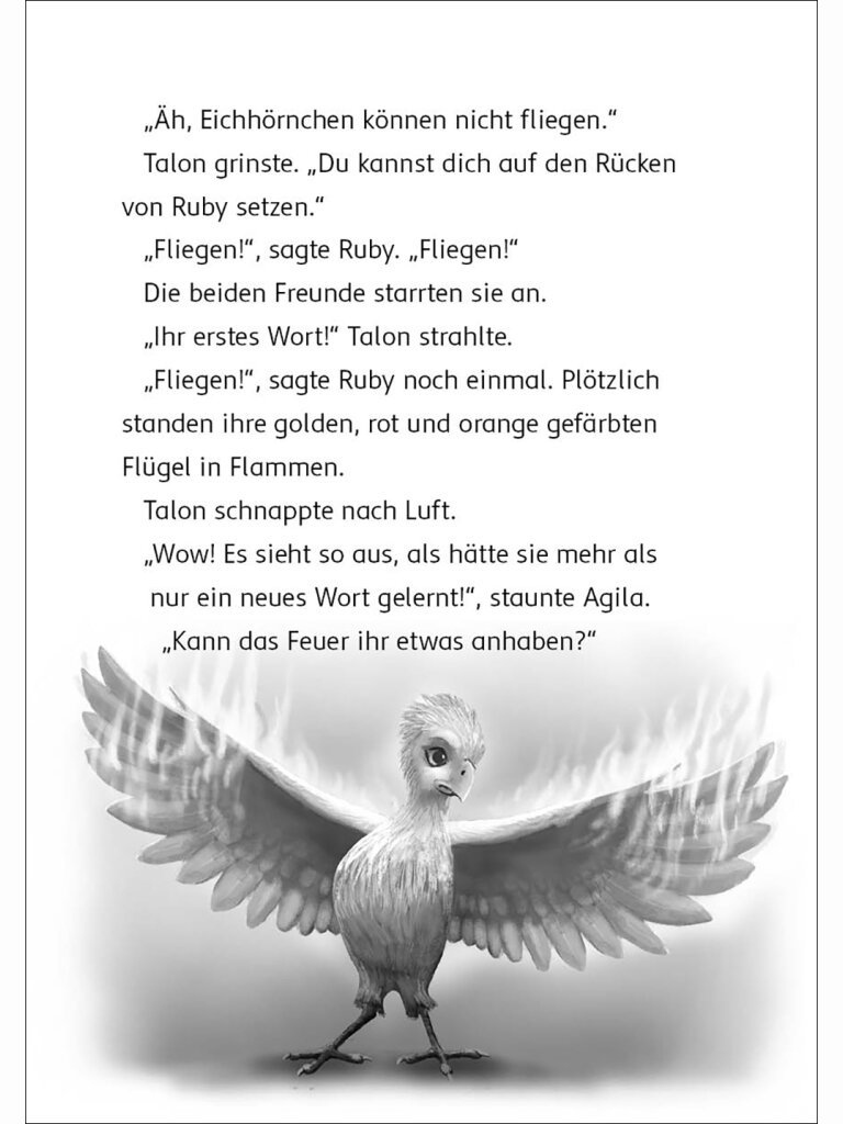 Der letzte Feuerfalke und die Kristallhöhlen (Band 2)