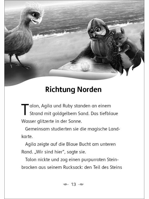 Der letzte Feuerfalke und die Kristallhöhlen (Band 2)