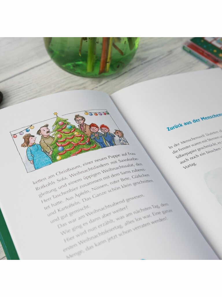 Das Sams und die große Weihnachtssuche