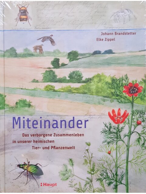Miteinander