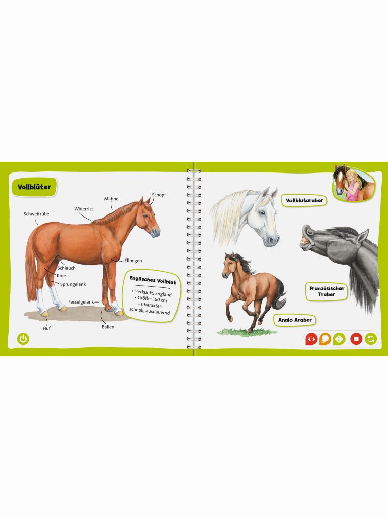 tiptoi&reg; Pferde und Ponys
