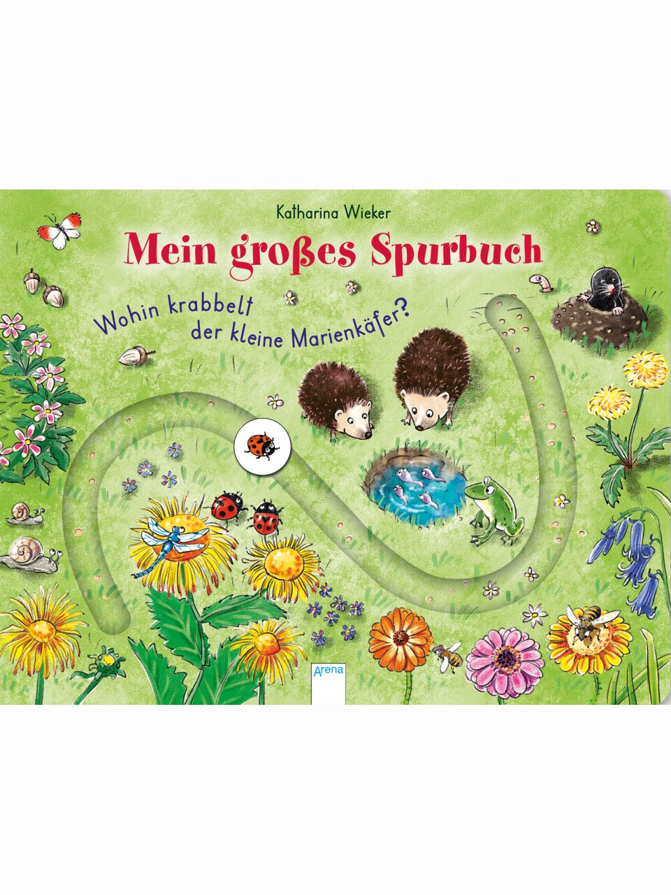 Wohin krabbelt der kleine Marienkäfer?