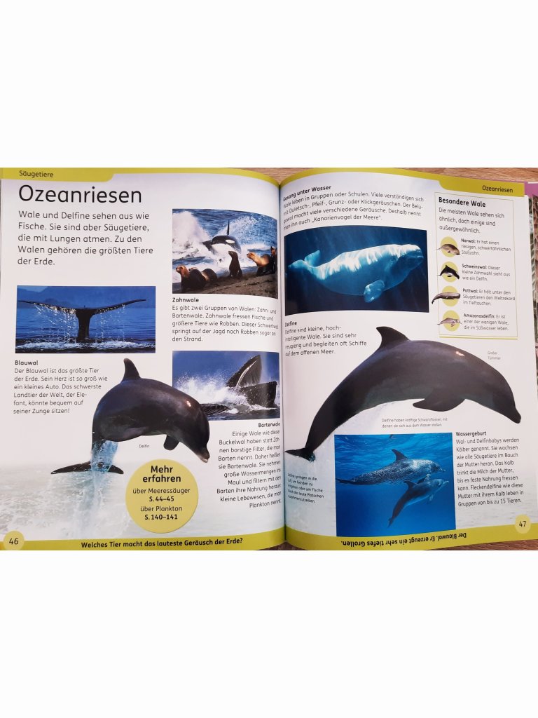 DK Kinderlexikon &ndash; Tiere