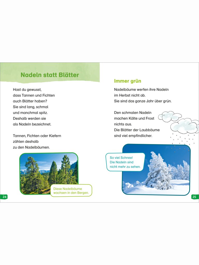 WAS IST WAS Erstes Lesen easy: Entdecke die Bäume