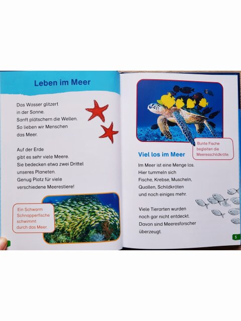 WAS IST WAS Erstes Lesen easy: Tiere im Meer