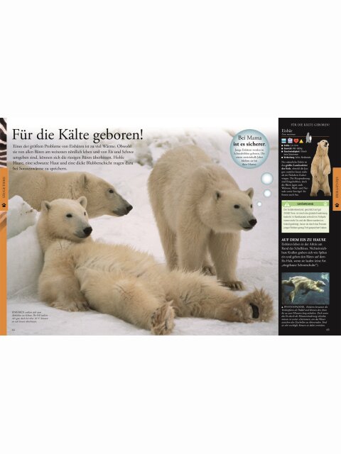 Tiere für clevere Kids