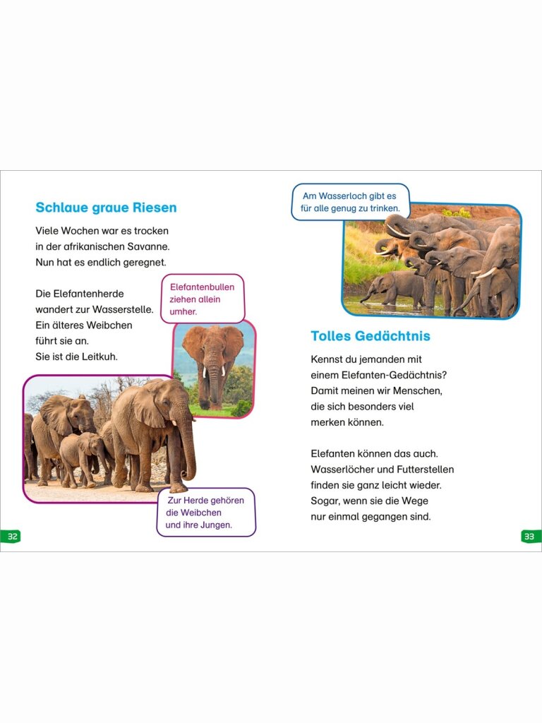 WAS IST WAS Erstes Lesen easy: Echt schlaue Tiere