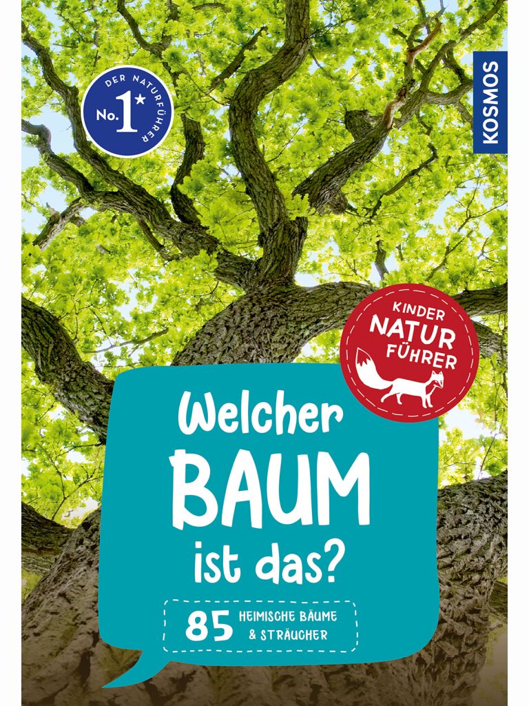 Kindernaturführer – Welcher Baum ist das?
