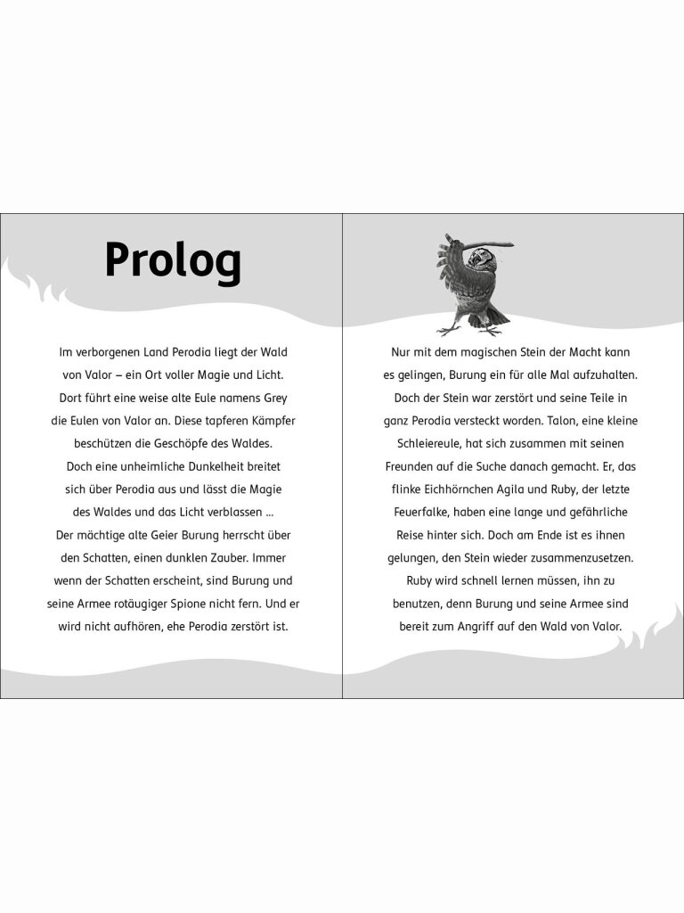 Der letzte Feuerfalke und die dunkle Magie (Band 6)