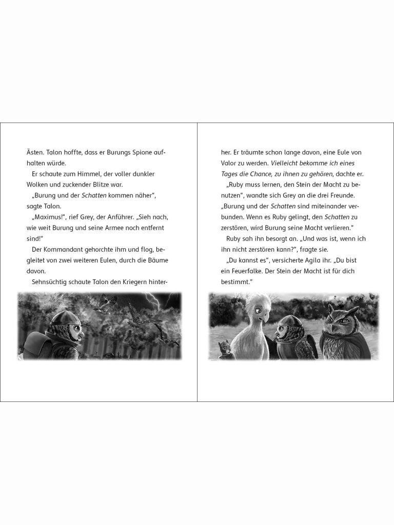Der letzte Feuerfalke und die dunkle Magie (Band 6)