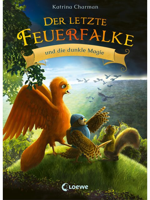 Der letzte Feuerfalke und die dunkle Magie (Band 6)