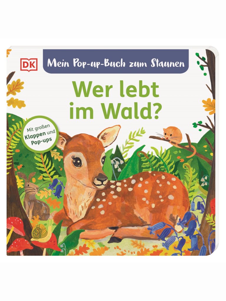 Mein Pop-up-Buch zum Staunen &ndash; Wer lebt im Wald?