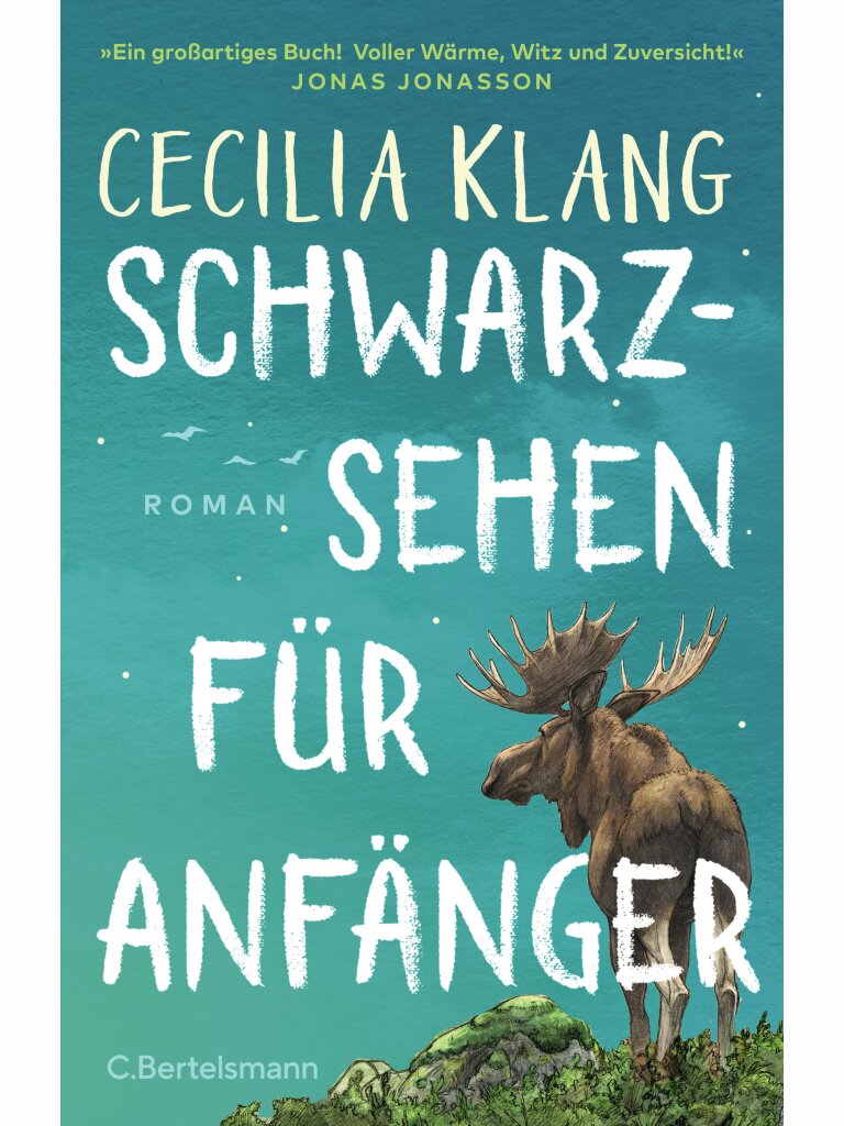 Schwarzsehen für Anfänger