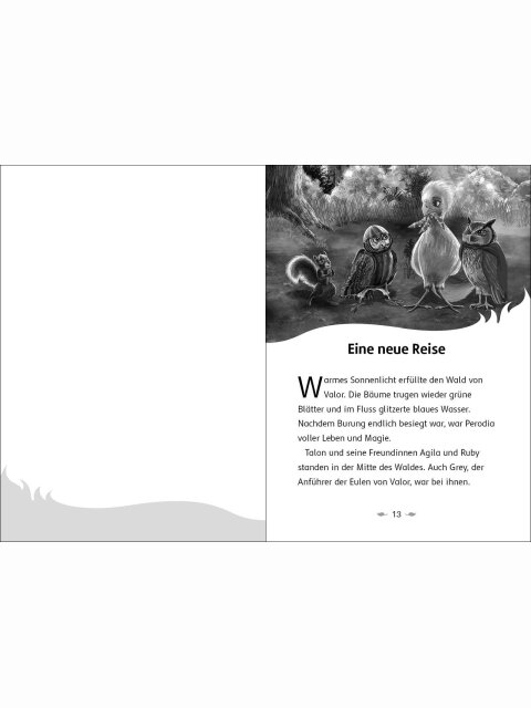 Der letzte Feuerfalke und das Wolkenland (Band 7)