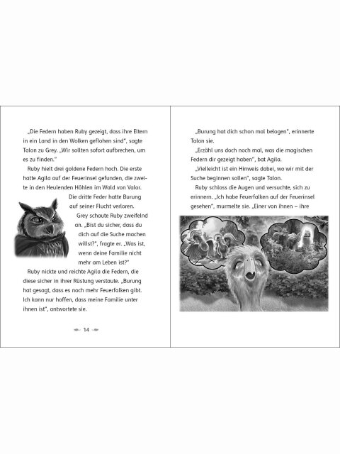 Der letzte Feuerfalke und das Wolkenland (Band 7)