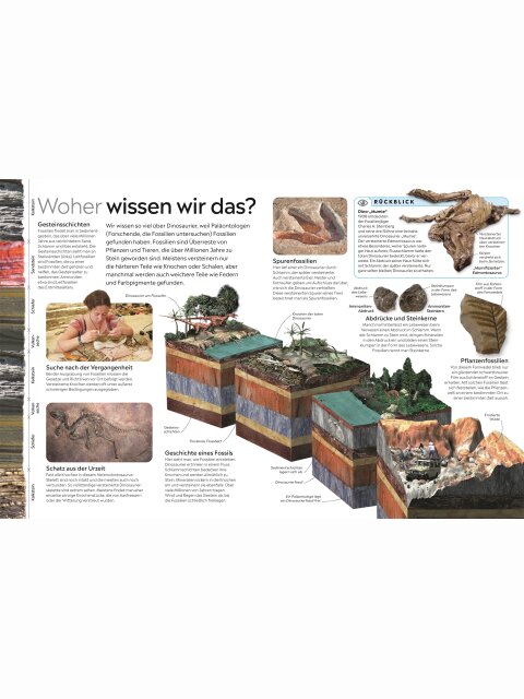 memo Wissen – Dinosaurier