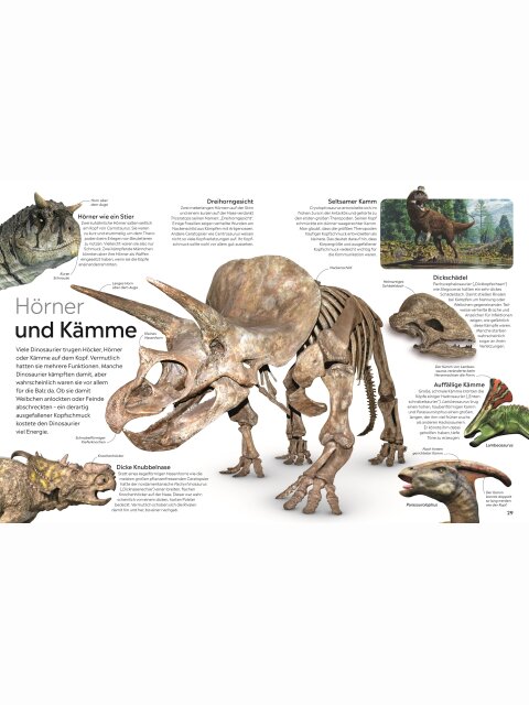 memo Wissen – Dinosaurier