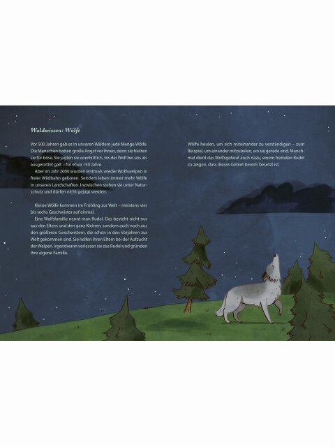 Wald – Die schönsten Geschichten zum Vorlesen