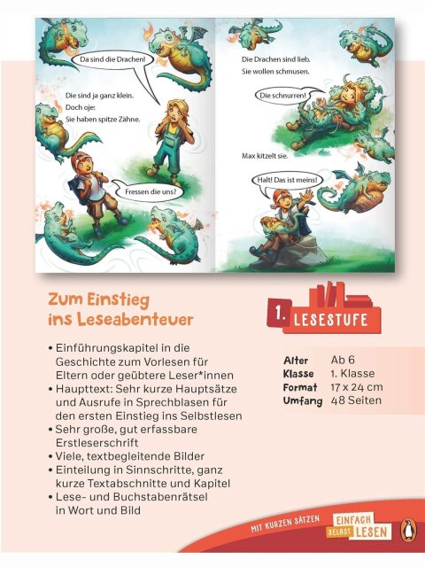 Der geheime Drachenwald (Lesestufe 1)