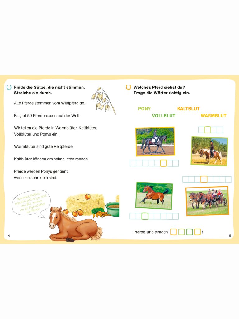 WAS IST WAS Erstes Lesen – Leserätsel Pferde und Ponys