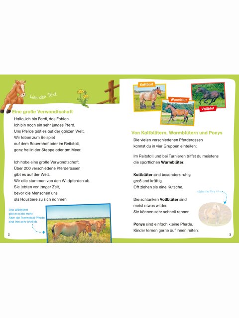 WAS IST WAS Erstes Lesen – Leserätsel Pferde und Ponys