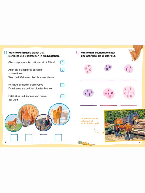 WAS IST WAS Erstes Lesen – Leserätsel Pferde und Ponys