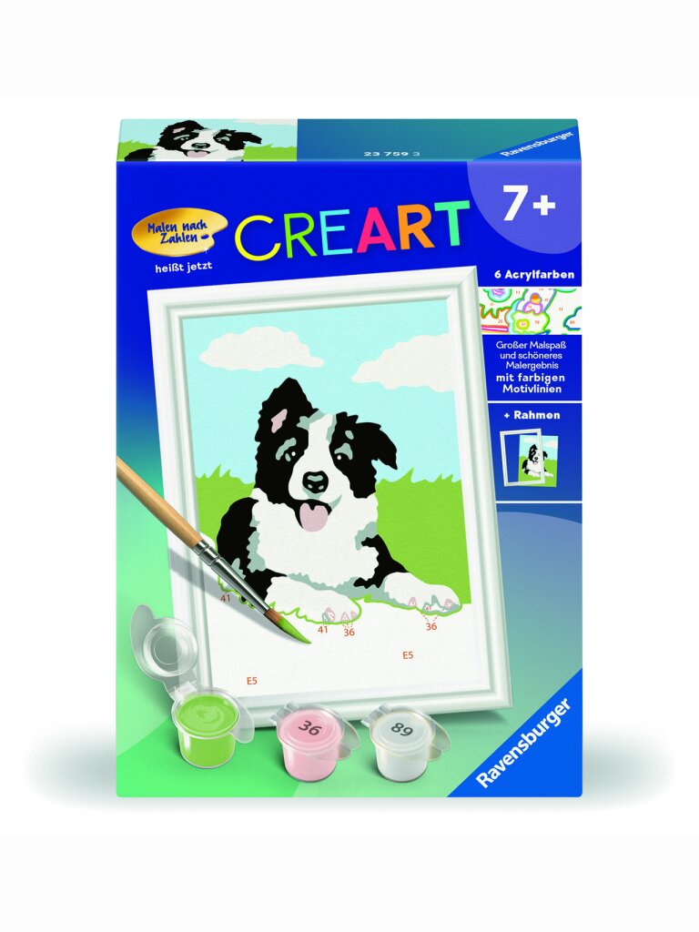 Malen nach Zahlen – Border Collie Hund