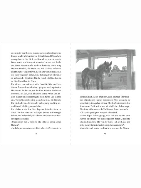 Die Ponys von Lillasund 1 – Ida und das Ponyglück