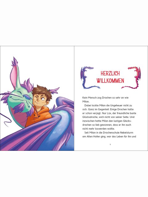 Drachenschule Nebelsturm (Band 3) – Das Turnier der Drachen