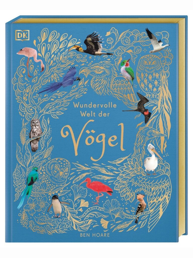 Wundervolle Welt der Vögel
