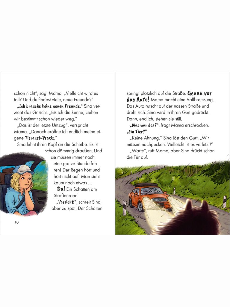 Reiterhof Ponyglück (Band 1) – Ein Pony für Sina