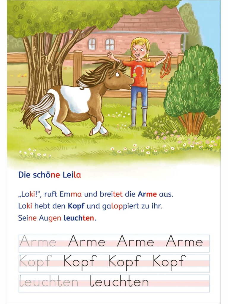 Lesen und schreiben lernen mit Spurrillen – Eine...