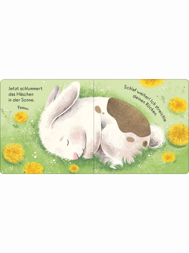 Streichle das kleine Häschen