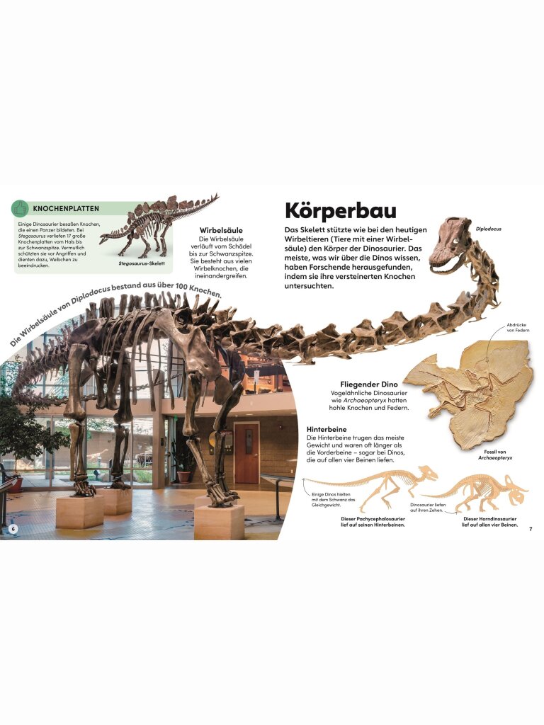 memo Wissen Kids – Dinosaurier