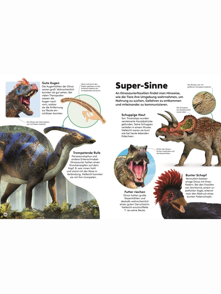 memo Wissen Kids – Dinosaurier