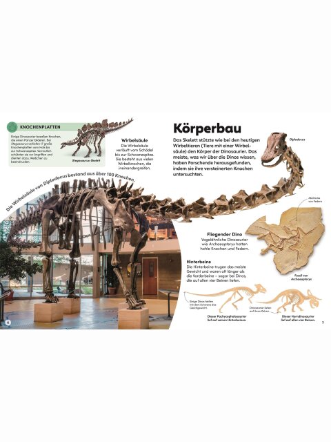 memo Wissen Kids – Dinosaurier