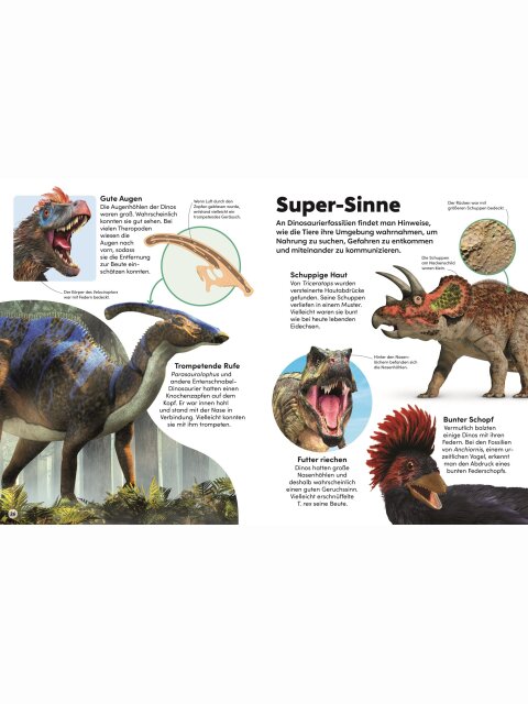 memo Wissen Kids – Dinosaurier