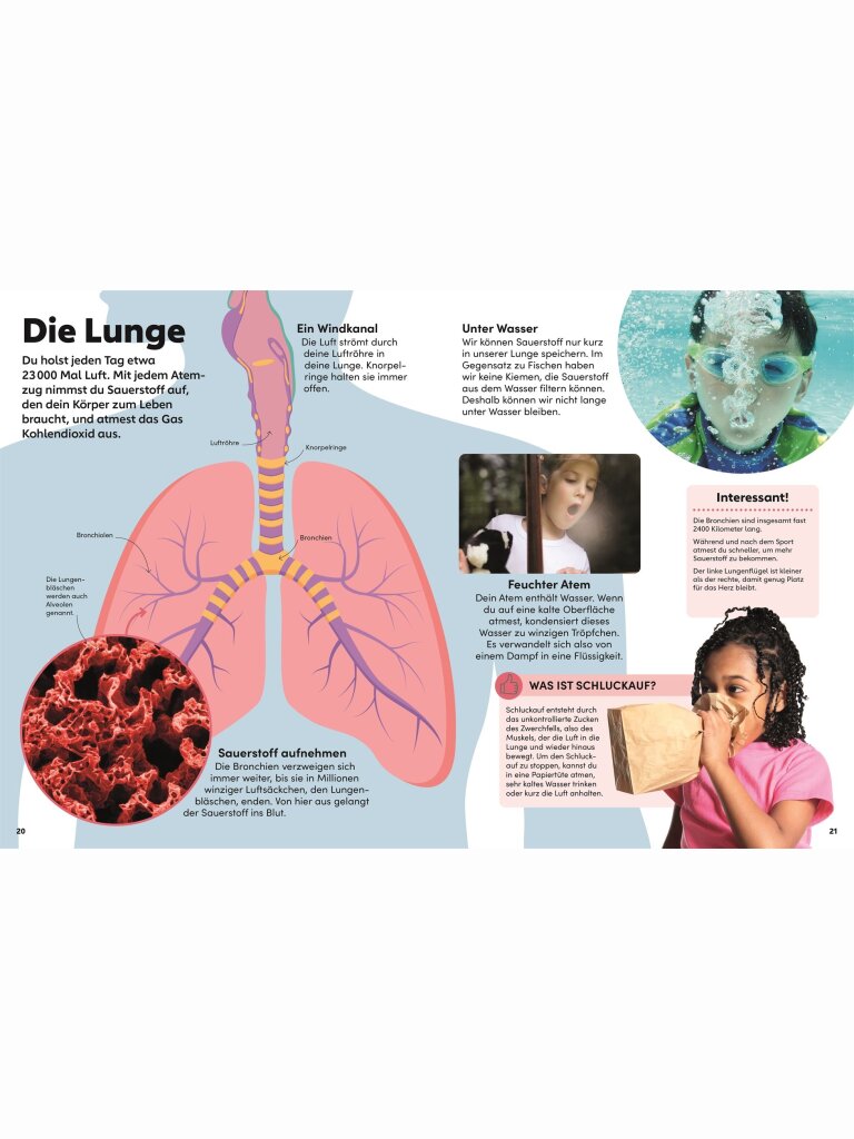 memo Wissen Kids – Der Körper