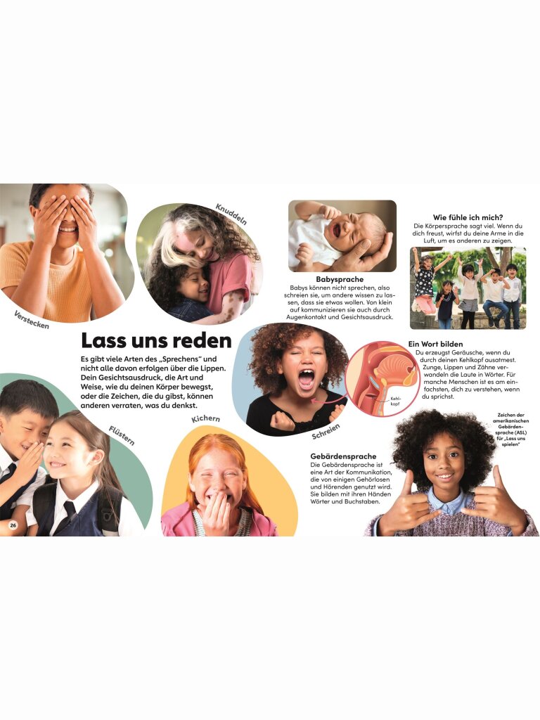 memo Wissen Kids – Der Körper